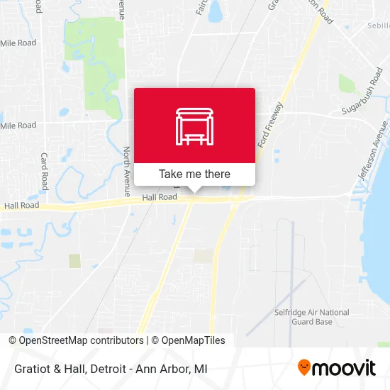 Gratiot & Hall map