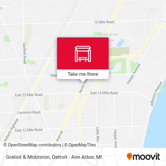 Gratiot & Mckinnon map