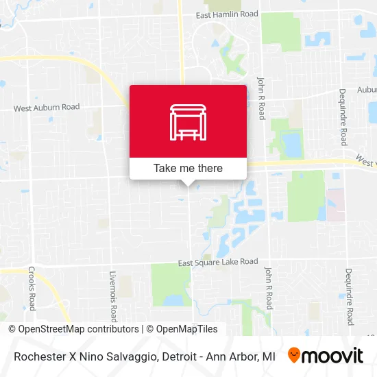 Rochester X Nino Salvaggio map