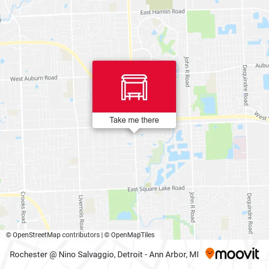 Rochester @ Nino Salvaggio map