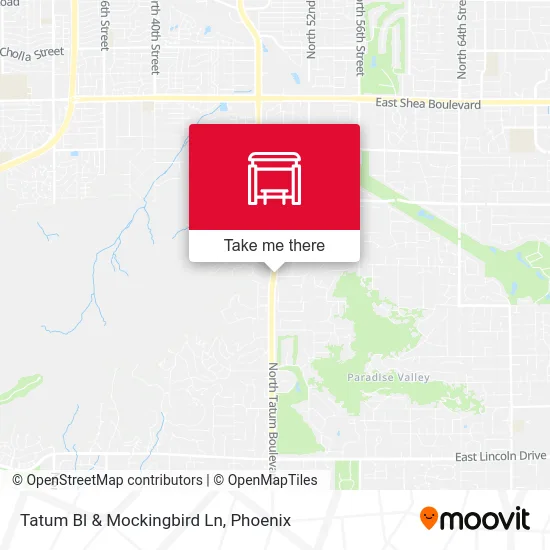 Tatum Bl & Mockingbird Ln map