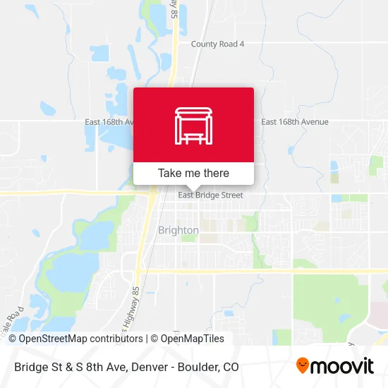 Bridge St & S 8th Ave map