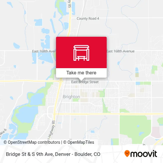 Bridge St & S 9th Ave map