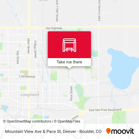 Mountain View Ave & Pace St map
