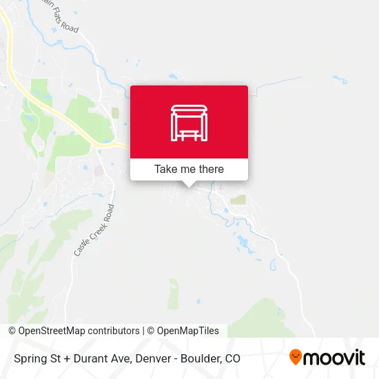 Spring St + Durant Ave map