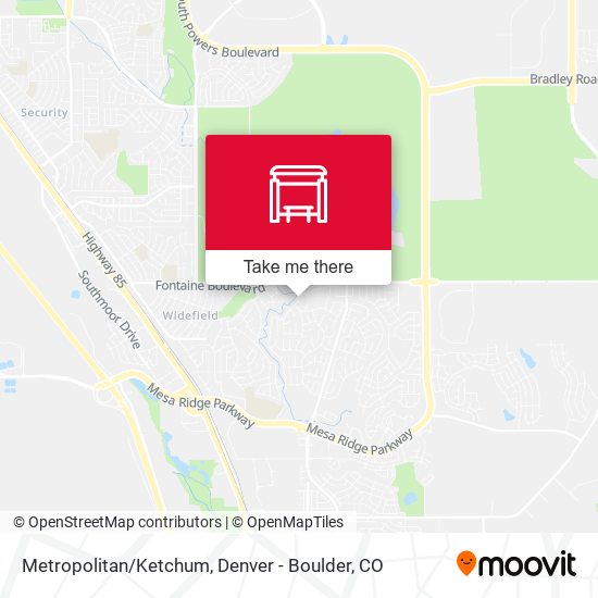 Metropolitan/Ketchum map