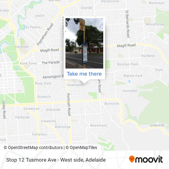 Stop 12 Tusmore Ave - West side map