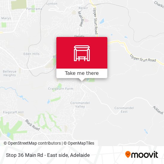 Stop 36 Main Rd - East side map