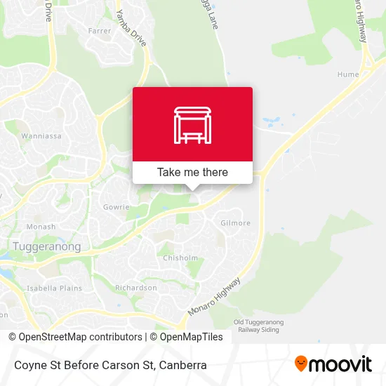 Mapa Coyne St Before Carson St