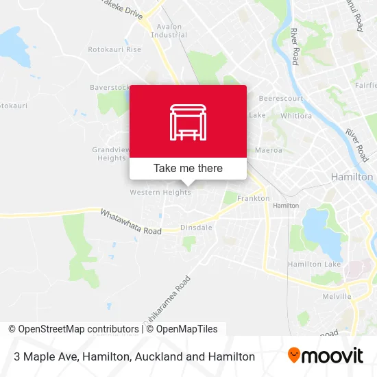 3 Maple Ave, Hamilton map