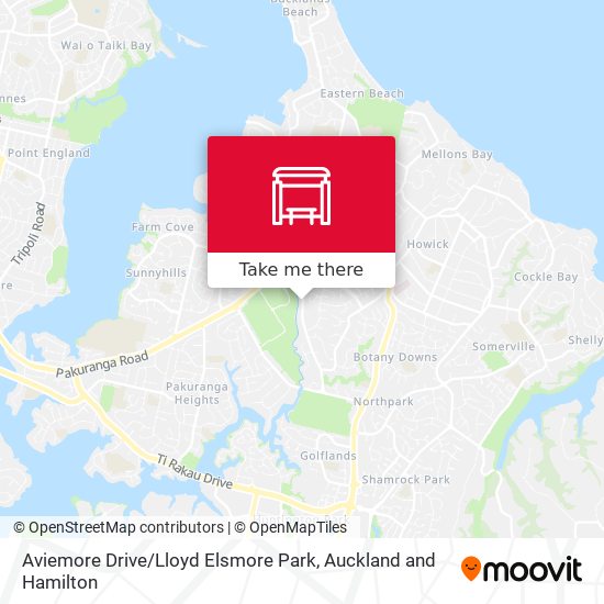 Aviemore Drive / Lloyd Elsmore Park map