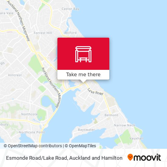 Esmonde Road/Lake Road map