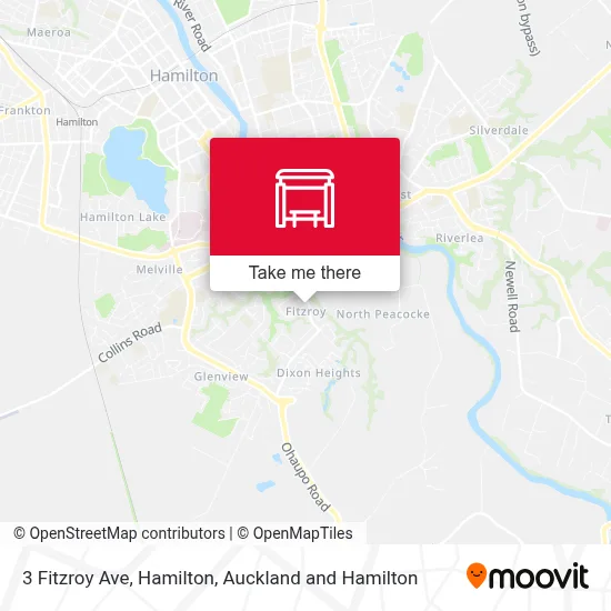 3 Fitzroy Ave, Hamilton map
