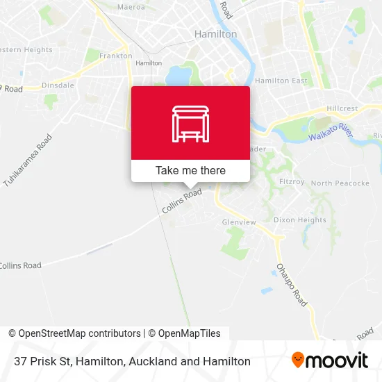 37 Prisk St, Hamilton map