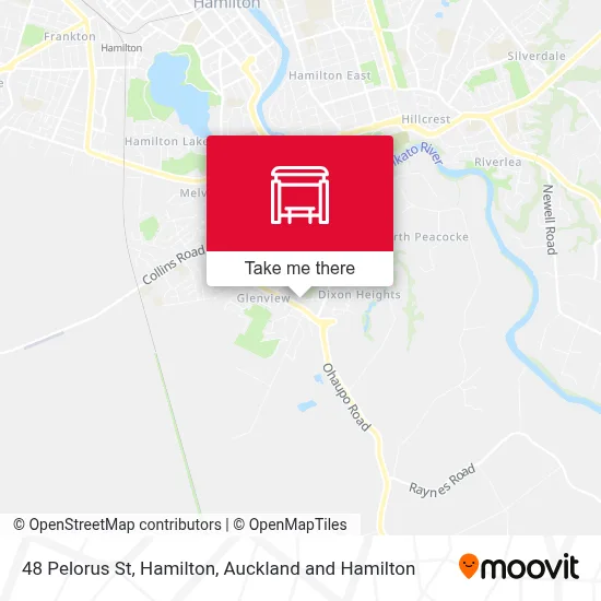48 Pelorus St, Hamilton map