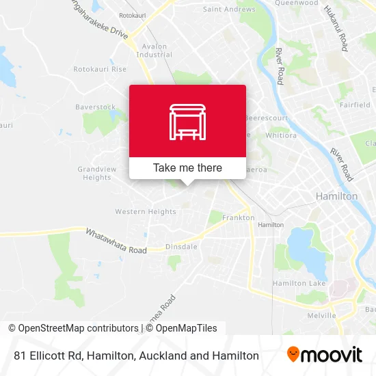 81 Ellicott Rd, Hamilton map