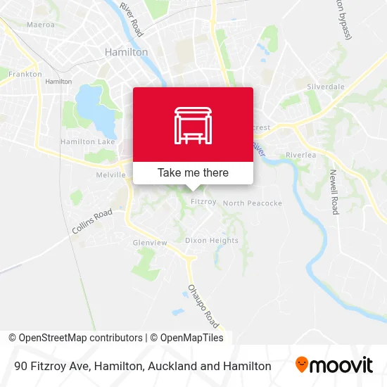 90 Fitzroy Ave, Hamilton map