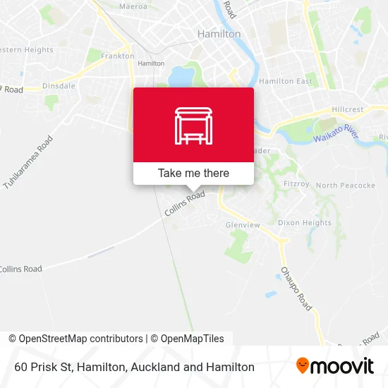 60 Prisk St, Hamilton map