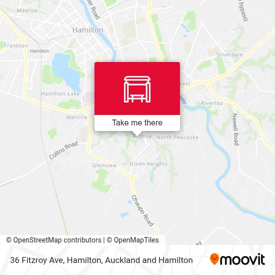 36 Fitzroy Ave, Hamilton map