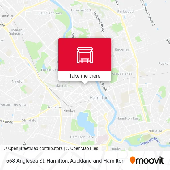 568 Anglesea St, Hamilton map