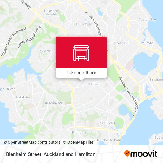 Blenheim Street map
