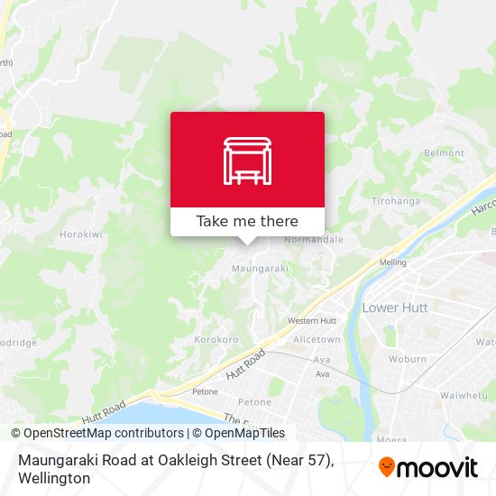 Maungaraki Road at Oakleigh Street (Near 57) map