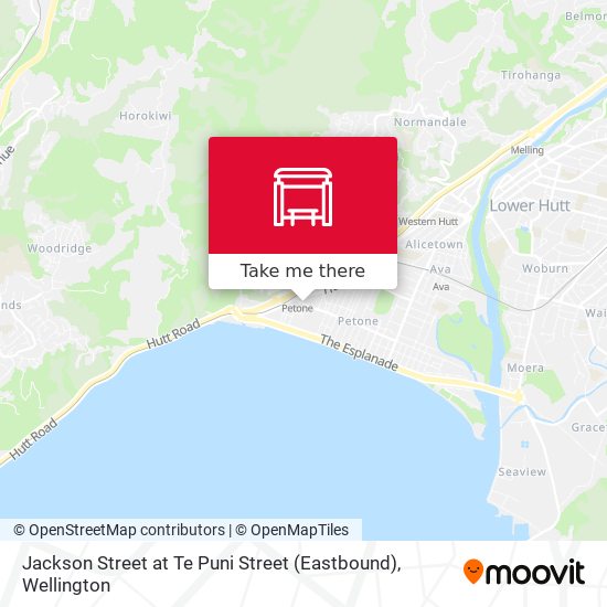 Jackson Street at Te Puni Street (Eastbound) map
