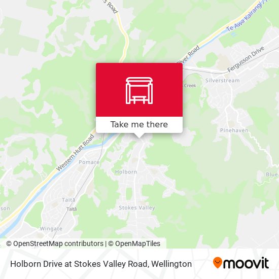 Holborn Drive at Stokes Valley Road map