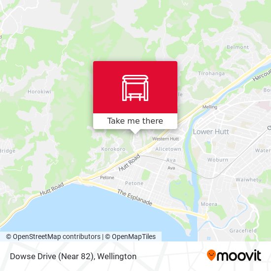 Dowse Drive (Near 82) map