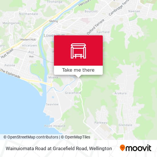 Wainuiomata Road at Gracefield Road map