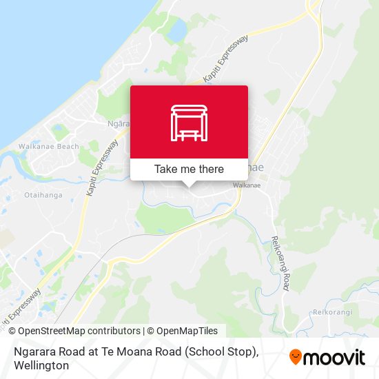 Ngarara Road at Te Moana Road (School Stop) map