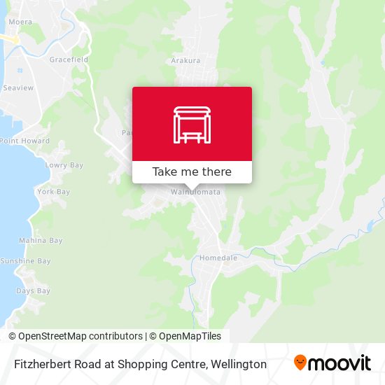 Fitzherbert Road at Shopping Centre地图