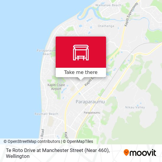 Te Roto Drive at Manchester Street (Near 460) map