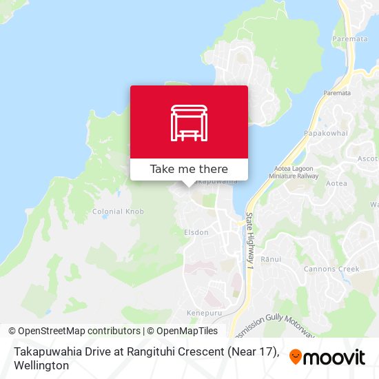 Takapuwahia Drive at Rangituhi Crescent (Near 17) map