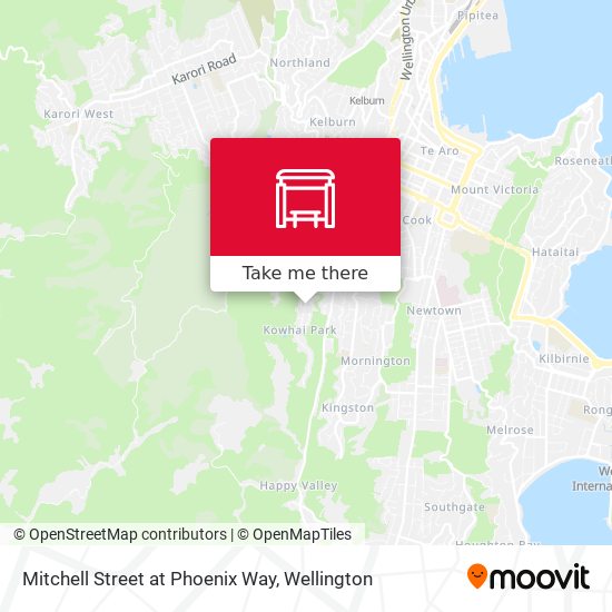 Mitchell Street at Phoenix Way map