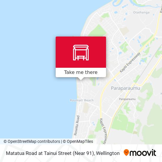 Matatua Road at Tainui Street (Near 91) map