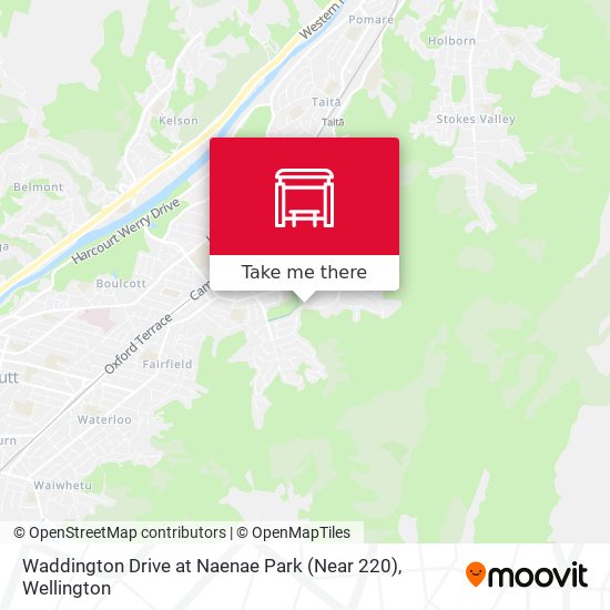 Waddington Drive at Naenae Park (Near 220) map