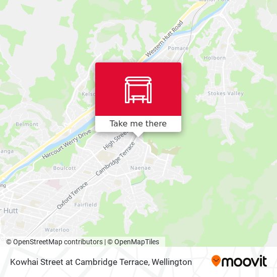 Kowhai Street at Cambridge Terrace map