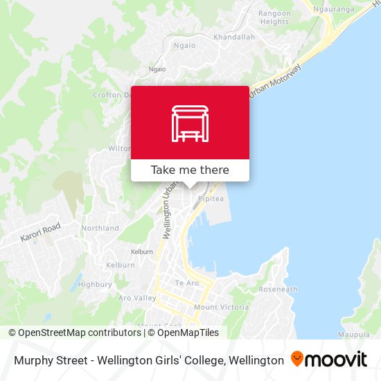 Murphy Street - Wellington Girls' College地图