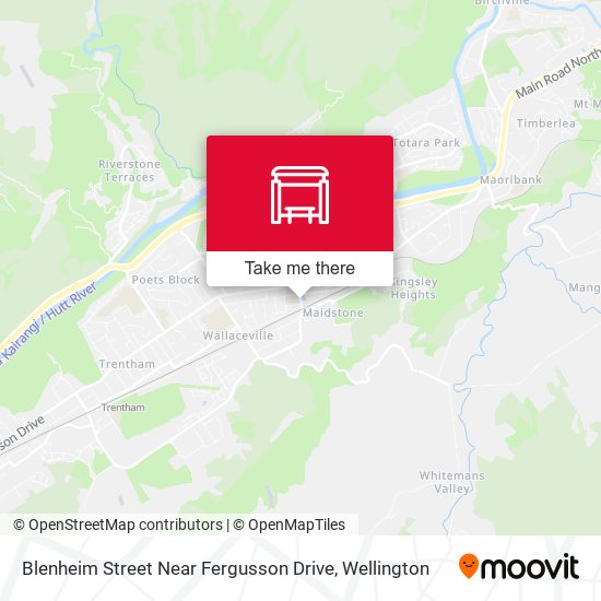Blenheim Street Near Fergusson Drive map