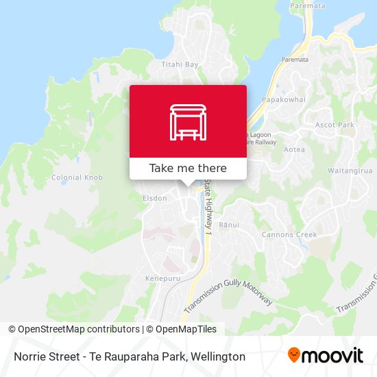 Norrie Street - Te Rauparaha Park map