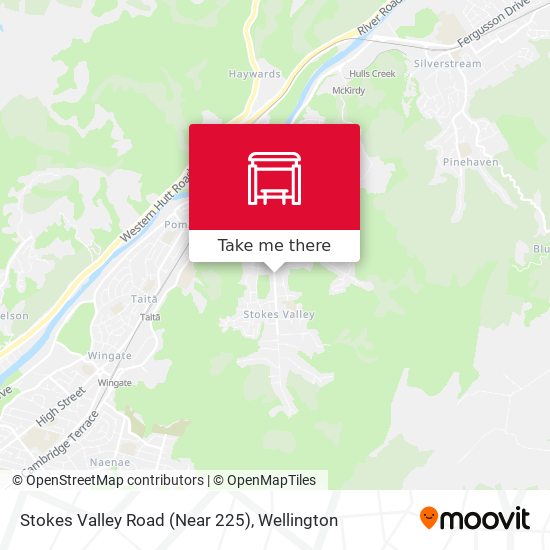 Stokes Valley Road (Near 225)地图