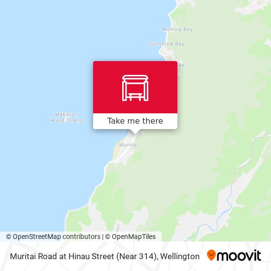 Muritai Road at Hinau Street (Near 314) map