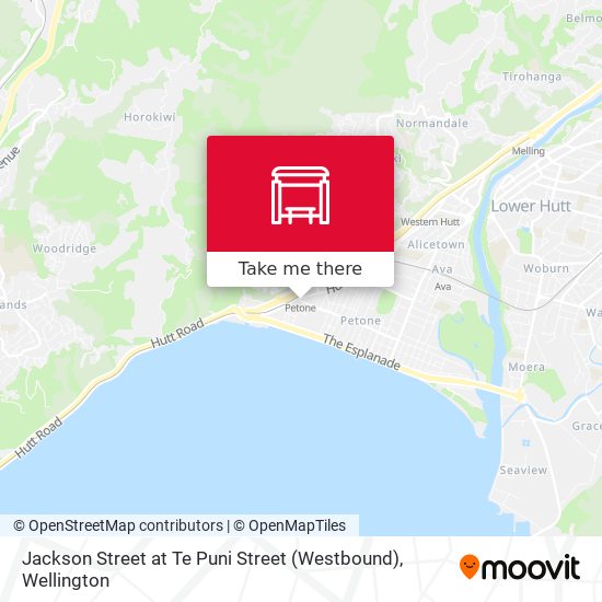 Jackson Street at Te Puni Street (Westbound)地图