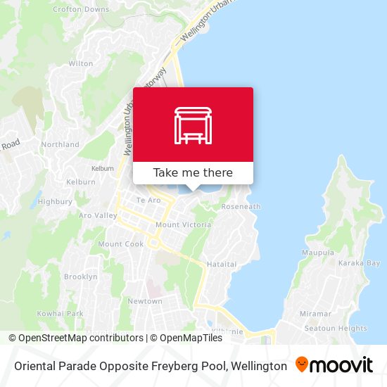 Oriental Parade Opposite Freyberg Pool map