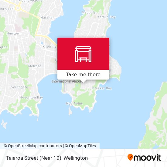 Taiaroa Street (Near 10) map