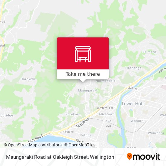 Maungaraki Road at Oakleigh Street map