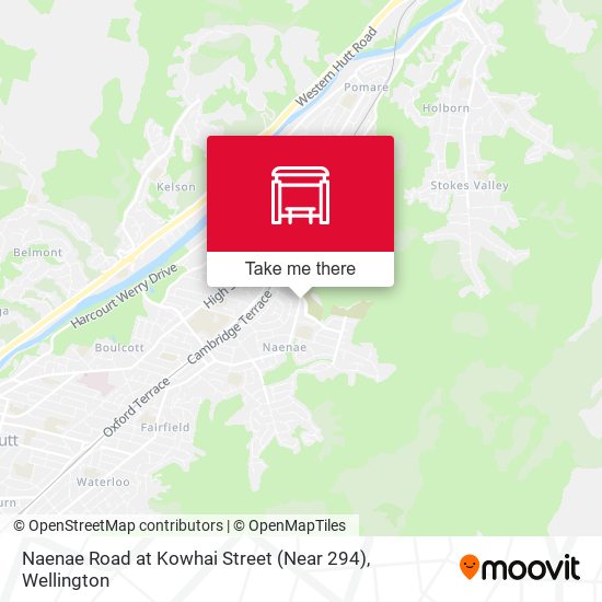 Naenae Road at Kowhai Street (Near 294) map