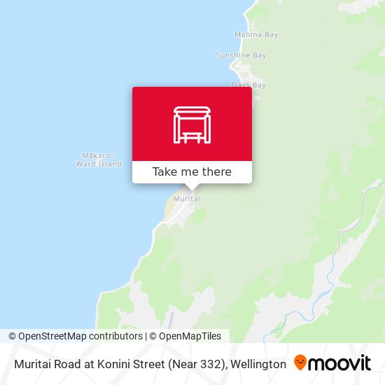 Muritai Road at Konini Street (Near 332) map