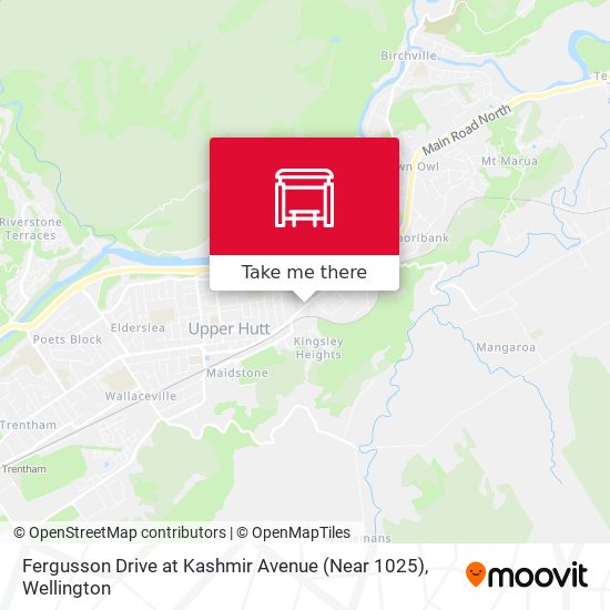 Fergusson Drive at Kashmir Avenue (Near 1025)地图